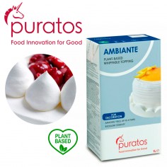 Ambiante Nata Vegetal 1L - Casa Rex