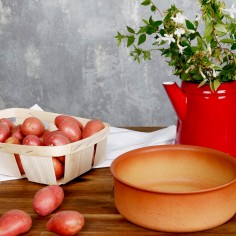 Cazuela Terracota Amercook 24cm  Casa Rex 2